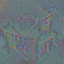 n02971356